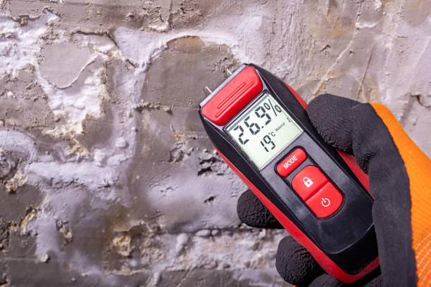 Best Mold Removal Company Near Me  in Bethel Acres, OK