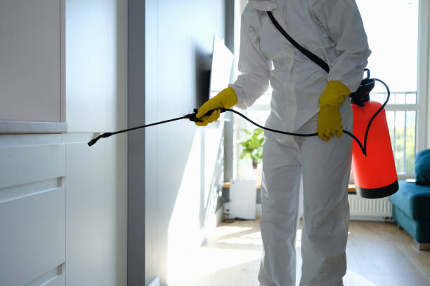 Best Emergency Mold Removal  in Bethel Acres, OK