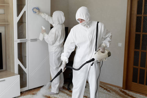 Professional Mold Removal in Bethel Acres, OK