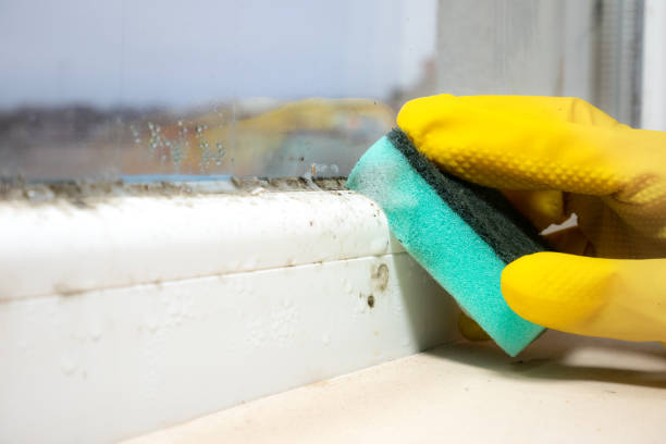 Certified Mold Removal in Bethel Acres, OK