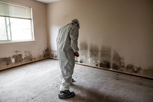 Best Mold Testing  in Bethel Acres, OK