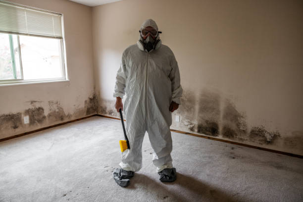 Best Crawl Space Mold Removal  in Bethel Acres, OK